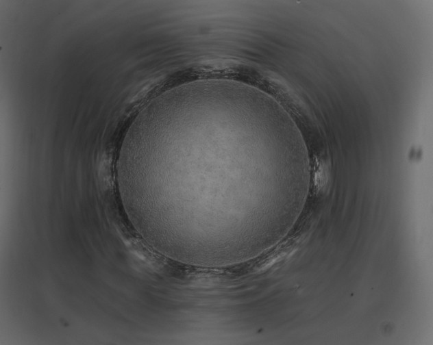 X0000096660819200802051216