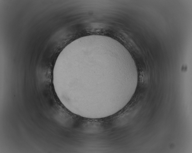 X0000096660820200802051216