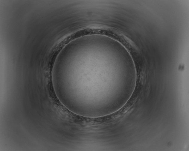 X0000096660821200802051216