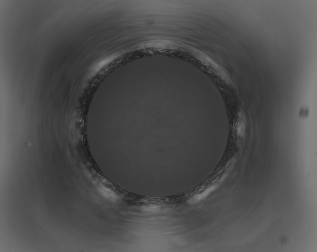 X0000096660822200802051216