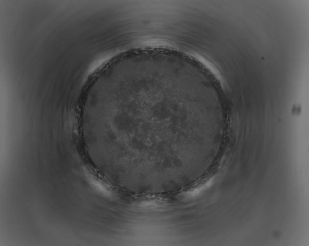 X0000096660823200802051216