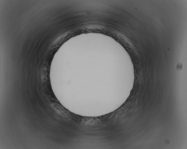 X0000096660824200802051216