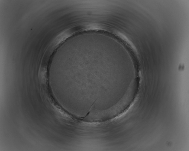X0000096660825200802051216