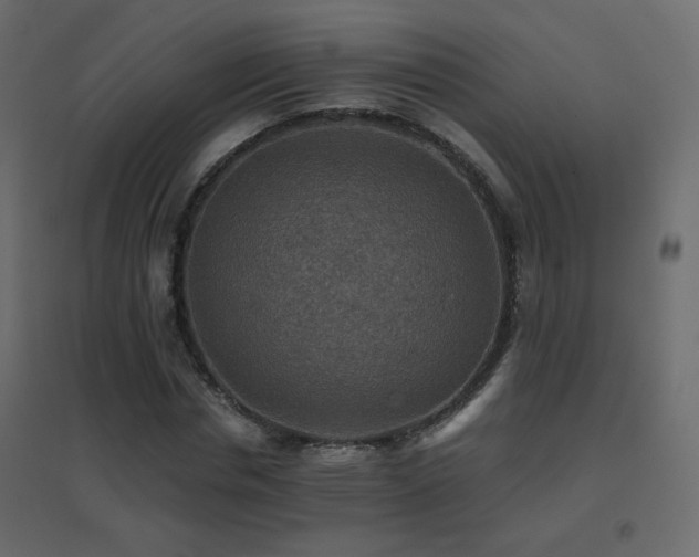 X0000096660826200802051216