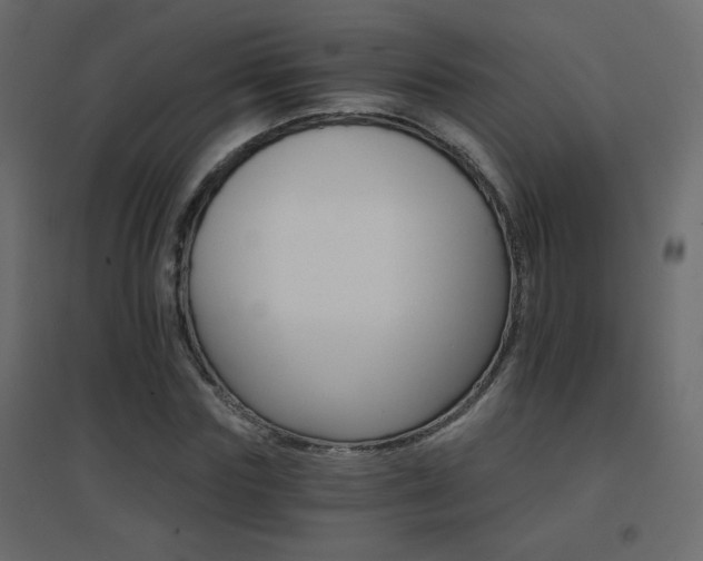 X0000096660827200802051216