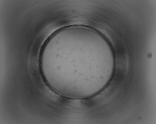 X0000096660828200802051216