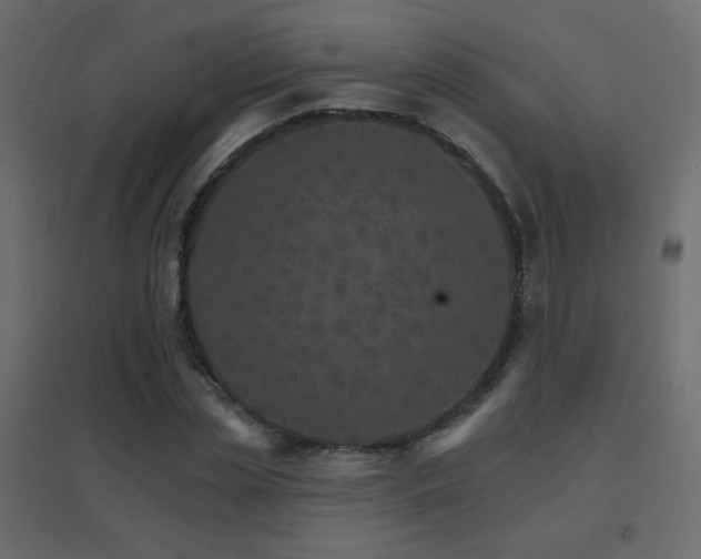 X0000096660829200802051216