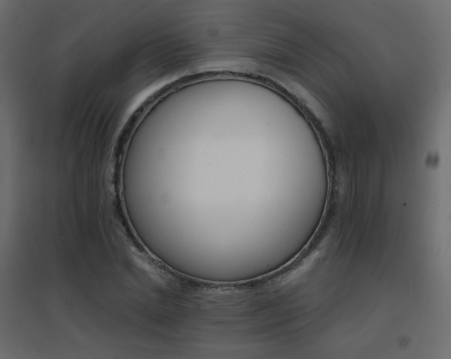 X0000096660830200802051216