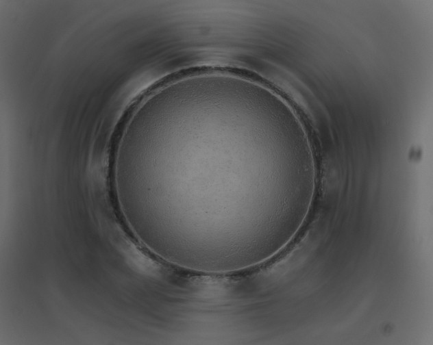 X0000096660831200802051216