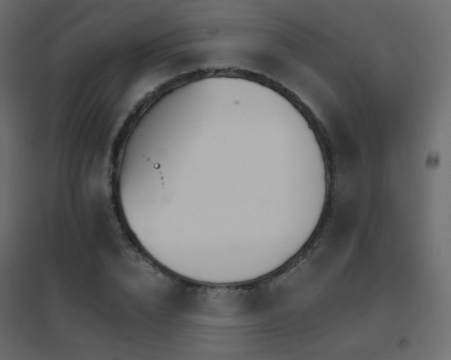 X0000096660832200802051216