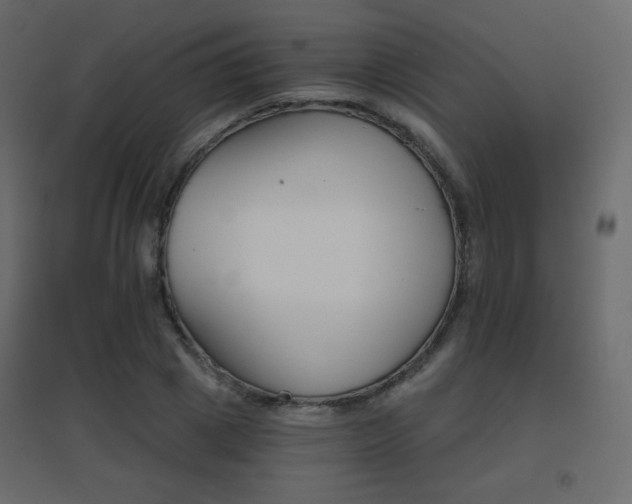 X0000096660833200802051216