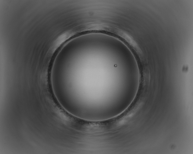 X0000096660834200802051217