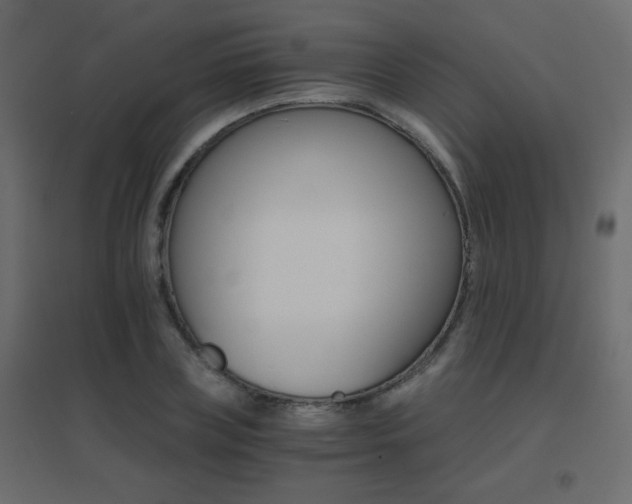 X0000096660835200802051217