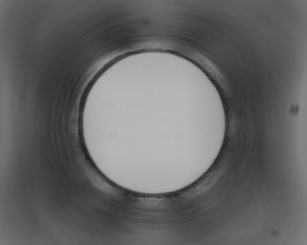 X0000096660836200802051217