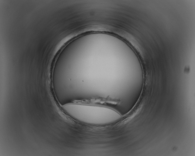 X0000096660837200802051217