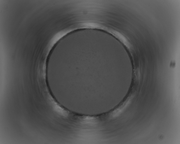 X0000096660839200802051217