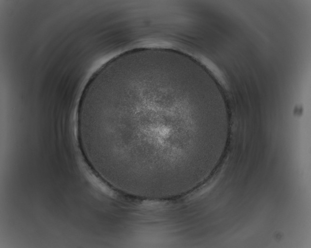 X0000096660840200802051217