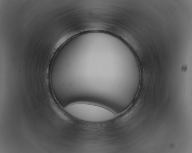 X0000096660842200802051217