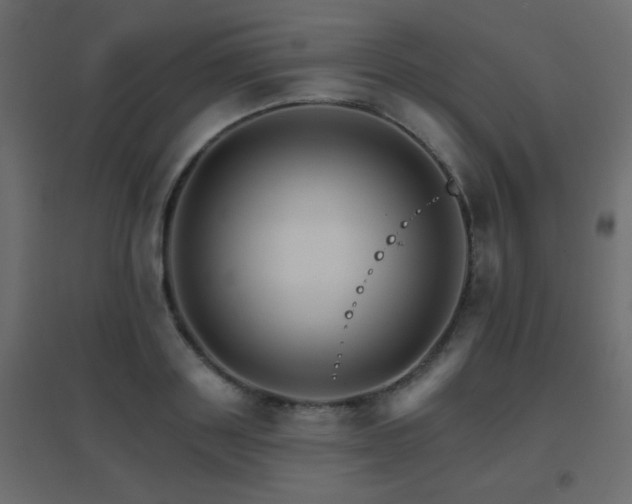 X0000096660843200802051217