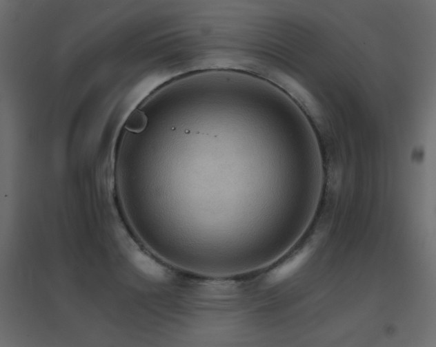 X0000096660844200802051217