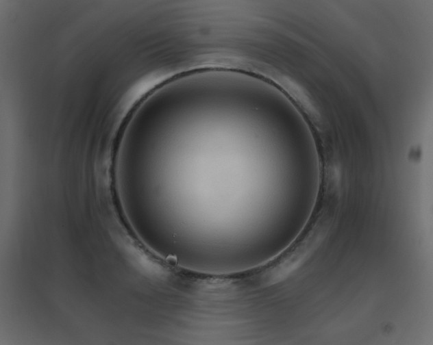X0000096660846200802051217