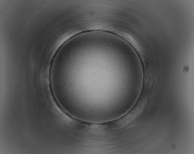 X0000096660847200802051217