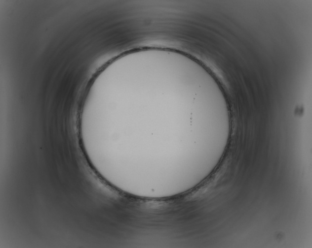 X0000096660848200802051217