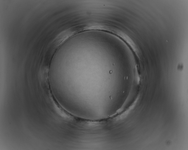 X0000096660849200802051217