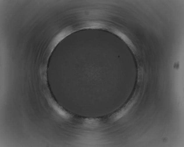 X0000096660850200802051217