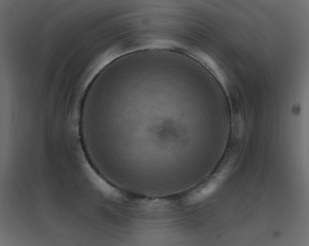 X0000096660851200802051217