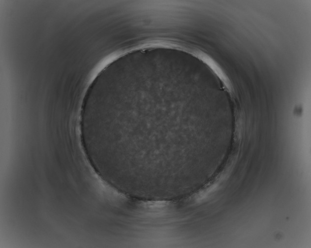 X0000096660853200802051217