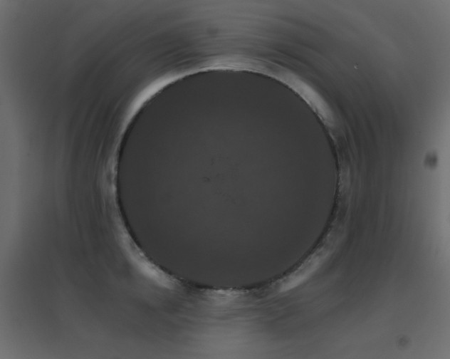 X0000096660854200802051217
