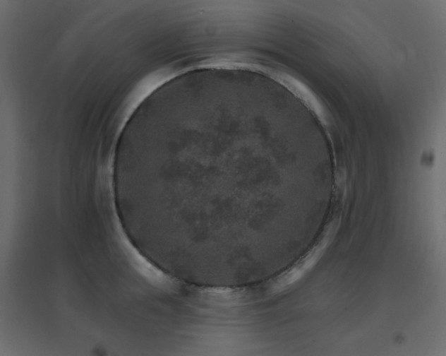 X0000096660855200802051217