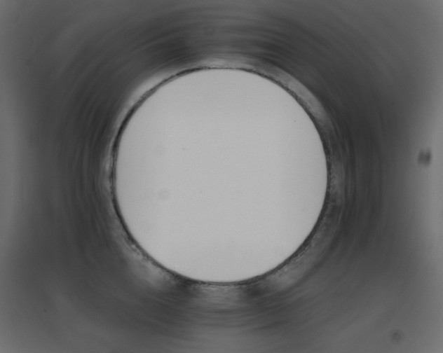 X0000096660856200802051217
