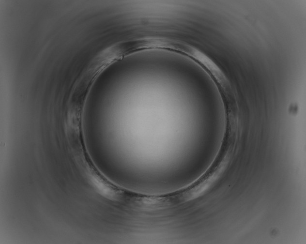 X0000096660857200802051217