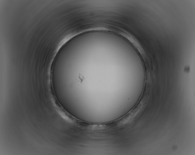 X0000096660858200802051217