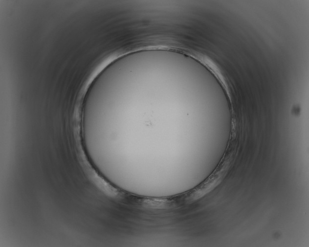 X0000096660859200802051217