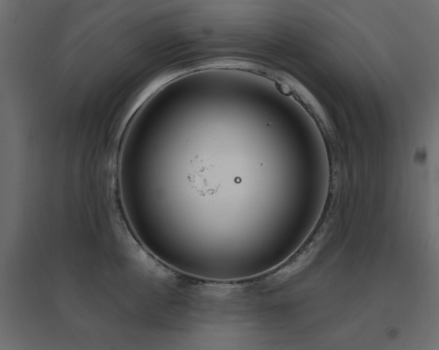 X0000096660860200802051217