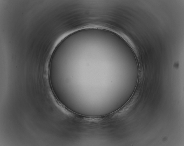 X0000096660862200802051217
