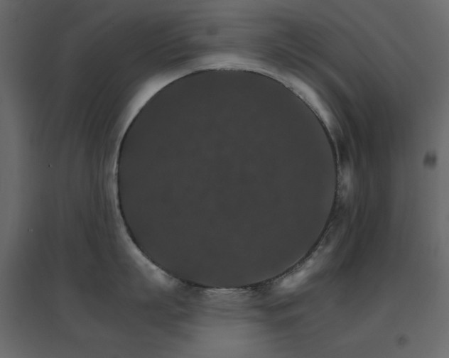 X0000096660863200802051217