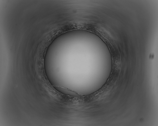 X0000096660865200802051216