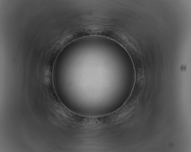 X0000096660866200802051216