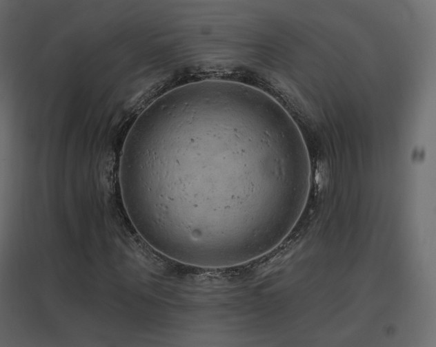 X0000096660867200802051216
