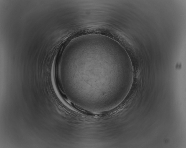 X0000096660868200802051216