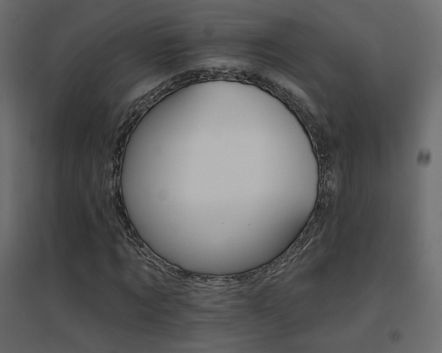 X0000096660869200802051216
