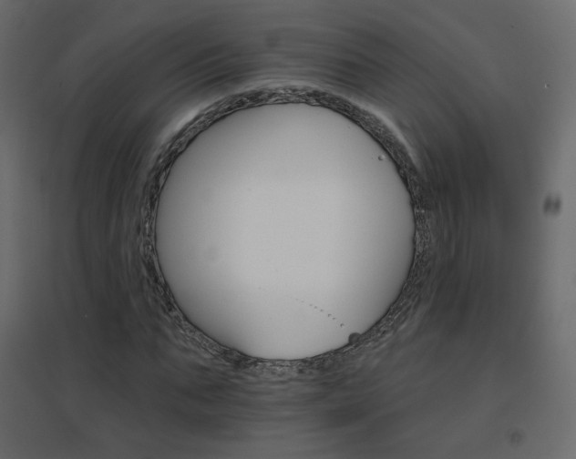 X0000096660871200802051216