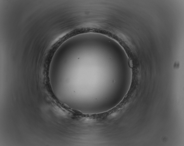 X0000096660872200802051216