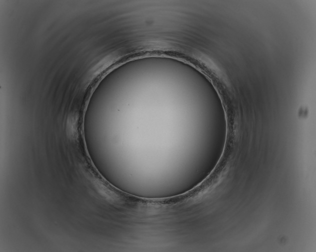 X0000096660873200802051216
