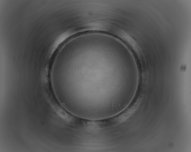 X0000096660875200802051216