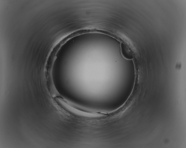 X0000096660876200802051216